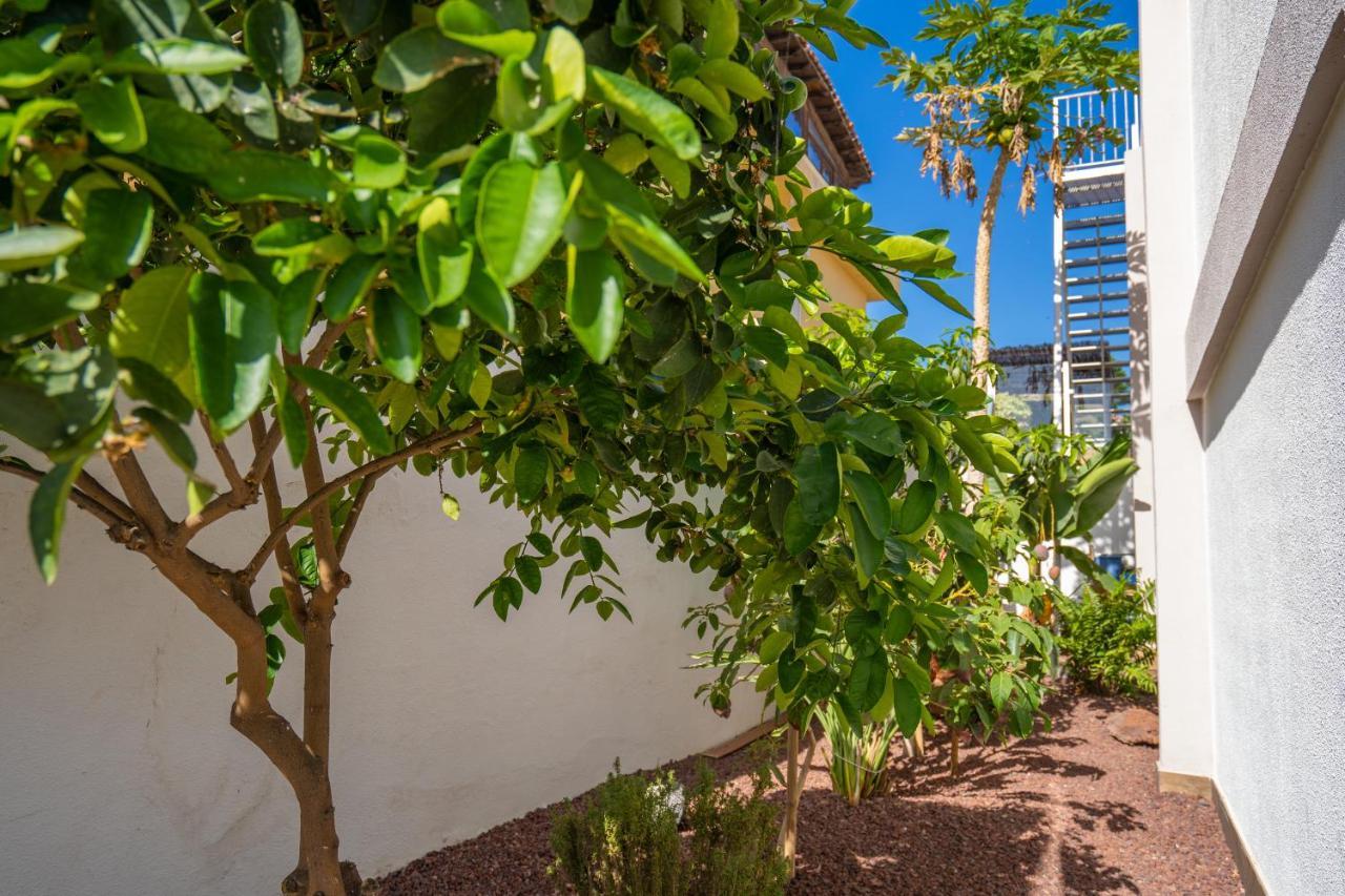 Villa La Laja With 5 Bedrooms And Sea View Callao Salvaje Exterior photo